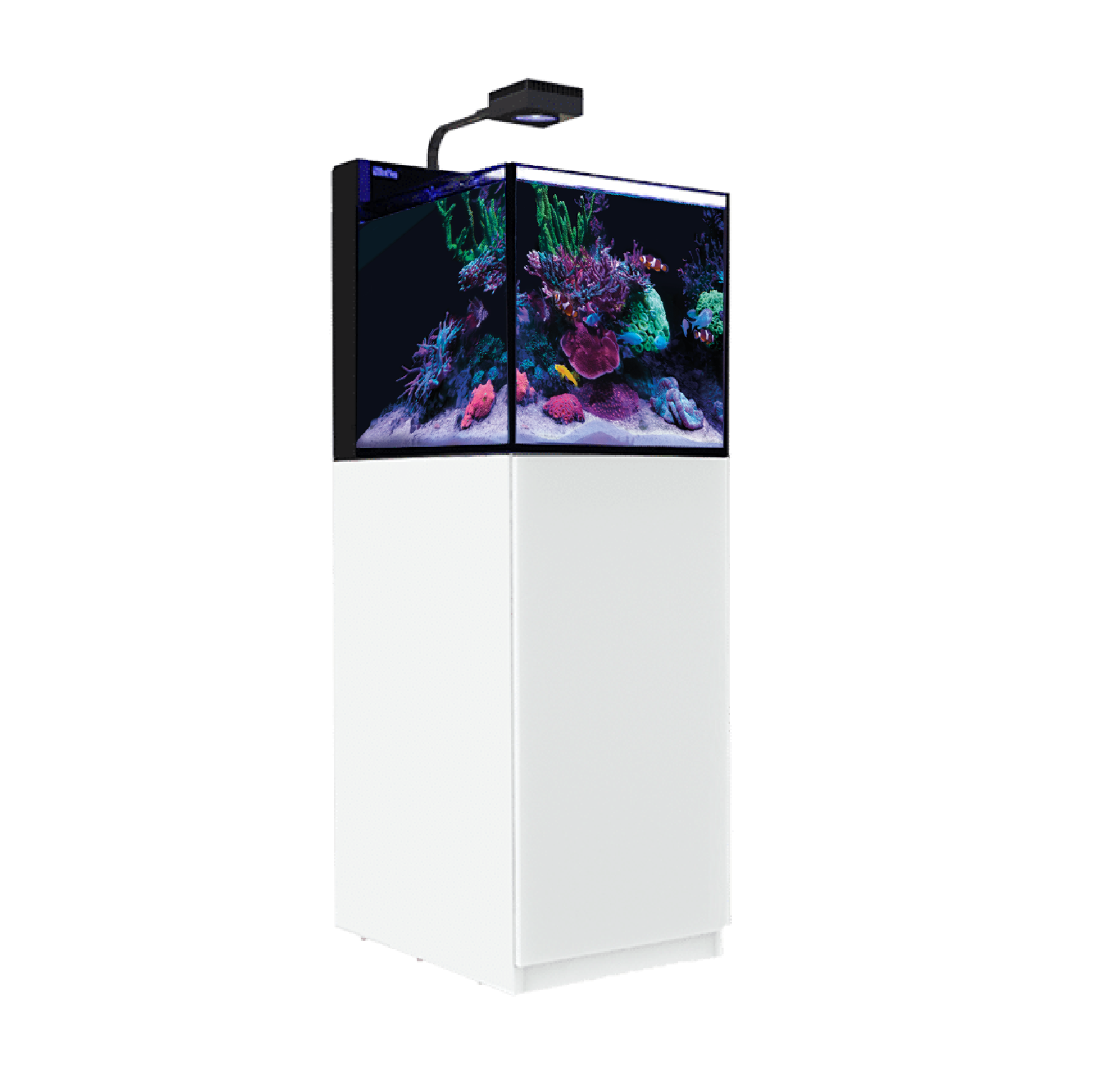 Red Sea Max Nano kaufen: Nano Meerwasser Aquarium als Komplettsystem